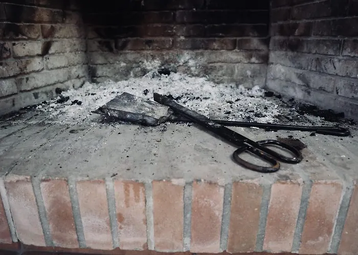 Fuente Del Gallo Nomada