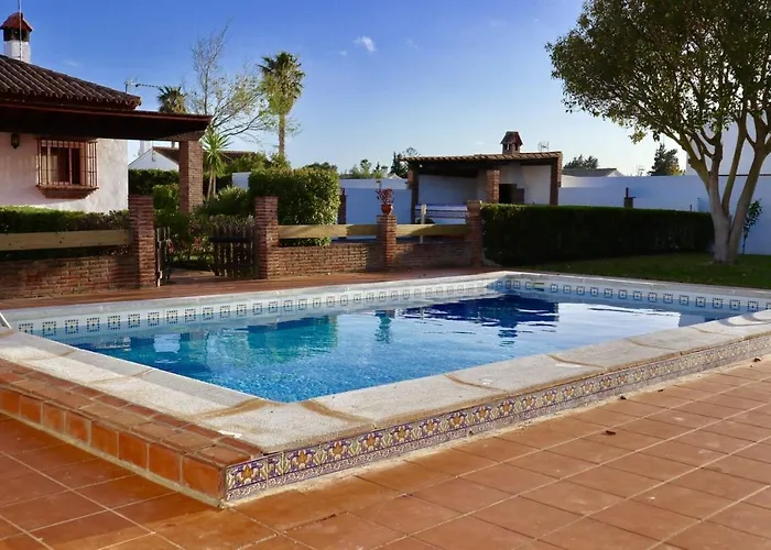 Fuente Del Gallo Nomada *